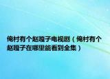 俺村有个赵嘎子电视剧（俺村有个赵嘎子在哪里能看到全集）