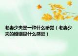 老妻少夫是一种什么感觉（老妻少夫的婚姻是什么感觉）