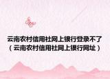 云南农村信用社网上银行登录不了（云南农村信用社网上银行网址）