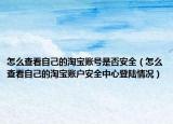 怎么查看自己的淘宝账号是否安全（怎么查看自己的淘宝账户安全中心登陆情况）