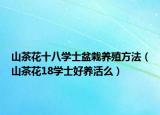 山茶花十八学士盆栽养殖方法（山茶花18学士好养活么）