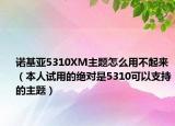 诺基亚5310XM主题怎么用不起来（本人试用的绝对是5310可以支持的主题）