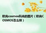 欧尚cosmos科尚的图片（欧尚COSMOS怎么样）