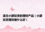 适合小额投资的理财产品（小额投资理财做什么好）