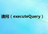 请问（executeQuery）