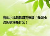 我叫小沈阳歌词完整版（我叫小沈阳歌词是什么）