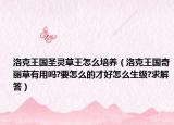 洛克王国圣灵草王怎么培养（洛克王国奇丽草有用吗?要怎么的才好怎么生级?求解答）