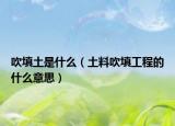 吹填土是什么（土料吹填工程的什么意思）