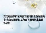 安倍右颈部和左胸皮下因枪伤出血详细内容 安倍右颈部和左胸皮下因枪伤出血具体介绍