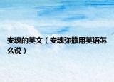 安魂的英文（安魂弥撒用英语怎么说）