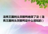 洛克王国刺头哭眼鸭绝版了没（洛克王国刺头哭眼鸭是什么组知的）
