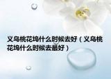 义乌桃花坞什么时候去好（义乌桃花坞什么时候去最好）