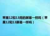 苹果12和13用的屏幕一样吗（苹果12和13屏幕一样吗）