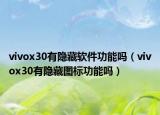 vivox30有隐藏软件功能吗（vivox30有隐藏图标功能吗）