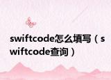 swiftcode怎么填写（swiftcode查询）