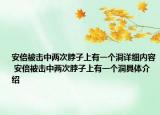 安倍被击中两次脖子上有一个洞详细内容 安倍被击中两次脖子上有一个洞具体介绍