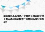湖南海利高新技术产业集团有限公司待遇（湖南海利高新技术产业集团有限公司如何）