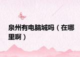 泉州有电脑城吗（在哪里啊）