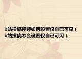 b站投稿视频如何设置仅自己可见（b站投稿怎么设置仅自己可见）