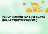 庐江人力资源保障局电话（庐江县人力资源和社会保障局在哪求具体位置）