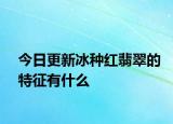 今日更新冰种红翡翠的特征有什么
