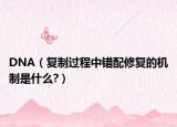 DNA（复制过程中错配修复的机制是什么?）