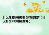 什么样的眼睛看什么样的世界（什么什么大眼睛看世界）