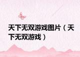天下无双游戏图片（天下无双游戏）