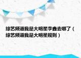 综艺频道我是大明星李鑫去哪了（综艺频道我是大明星规则）