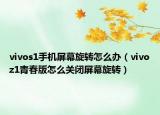 vivos1手机屏幕旋转怎么办（vivoz1青春版怎么关闭屏幕旋转）