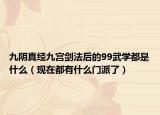 九阴真经九宫剑法后的99武学都是什么（现在都有什么门派了）
