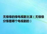 无缘缘的缘电视剧主演（无缘缘分缘是哪个电视剧的）