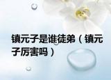 镇元子是谁徒弟（镇元子厉害吗）