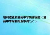 哈利路亚和爱我中华旋律很像（爱我中华哈利路亚歌词\