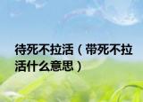 待死不拉活（带死不拉活什么意思）