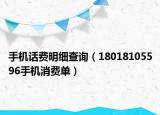 手机话费明细查询（18018105596手机消费单）