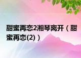 甜蜜再恋2湘琴离开（甜蜜再恋(2)）
