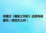 有看过《黑狐之风影》这部电视剧吗（感觉怎么样）