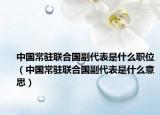 中国常驻联合国副代表是什么职位（中国常驻联合国副代表是什么意思）