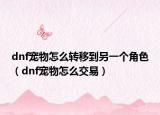 dnf宠物怎么转移到另一个角色（dnf宠物怎么交易）