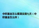 中欧基金怎么看满没满七天（中欧基金怎么样）
