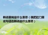 韩语塞呦是什么意思（偶把肛门塞这句话在韩语是什么意思）