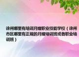 徐州哪里有培训月嫂职业技能学校（徐州市区哪里有正规的月嫂培训班或者职业培训班）
