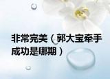 非常完美（郭大宝牵手成功是哪期）