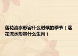 落花流水形容什么时候的季节（落花流水形容什么生肖）