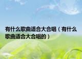 有什么歌曲适合大合唱（有什么歌曲适合大合唱的）