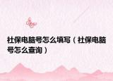 社保电脑号怎么填写（社保电脑号怎么查询）