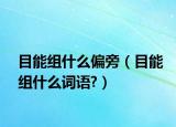 目能组什么偏旁（目能组什么词语?）