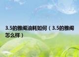 3.5的雅阁油耗如何（3.5的雅阁怎么样）