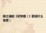 薛之谦的《初学者（》歌词什么意思）